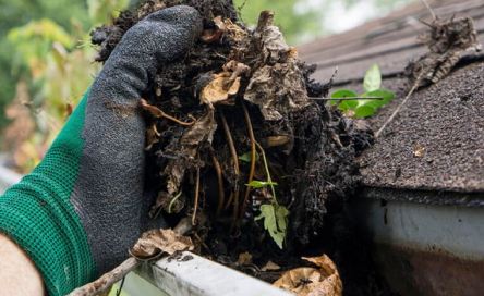 Gutter Cleaning